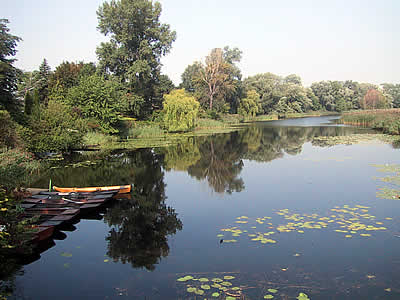 Row a boat in Vienna!